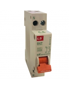 1+N Pole 10 Amp Circuit Breaker DPN - LSis
