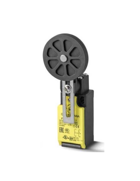 End of stroke adjustable lever with adjustable roller 50mm FTN Series - Giovenzana