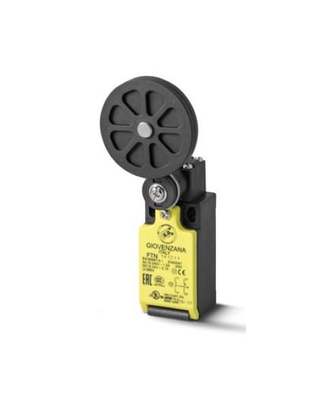 End of stroke rotary lever with roller 50mm FTN Series - Giovenzana