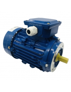 Motor trifásico 0,55Kw 0,75CV 230/400V 1500 rpm IE1 Brida B14 carcasa reducida