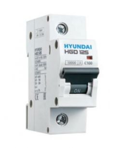 Magnetotérmico 1 polo 100A 10kA  - Hyundai Electric