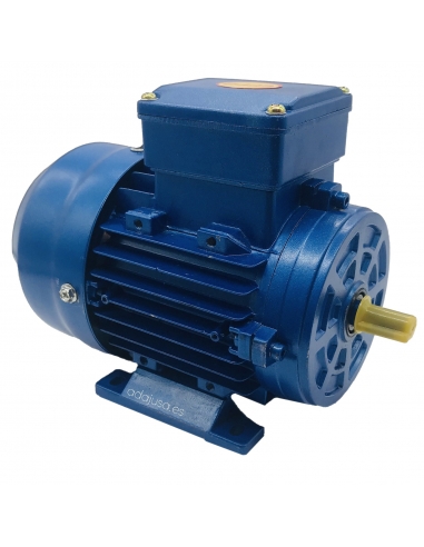 Single-phase motor 0.12Kw 0.17HP 230V 3000 rpm medium starting torque, Flange B3 foot