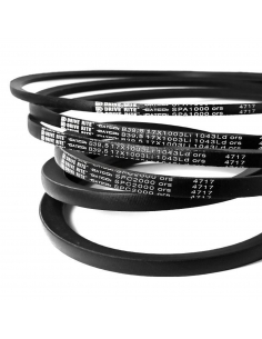 Classic B45DR 1143mm B Trapecial Strap DAYCO | ADAJUSA