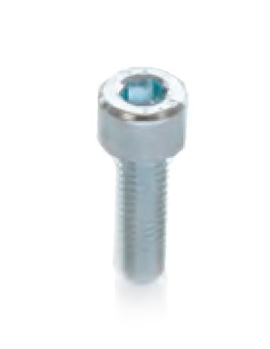 Screw allen cylindrical head M8 galvanized