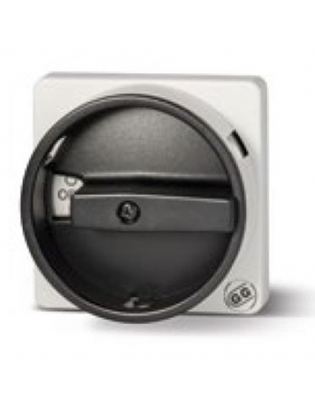 Switch plate front cam control gray 67x67mm Giovenzana | ADAJUSA