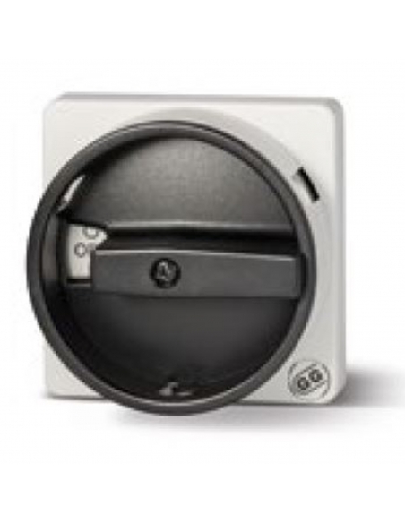 Front control plate 0-1 67x67mm - Giovenzana