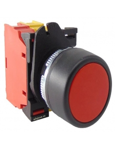 Red nc Full PushButton - Giovenzana adajusa 2