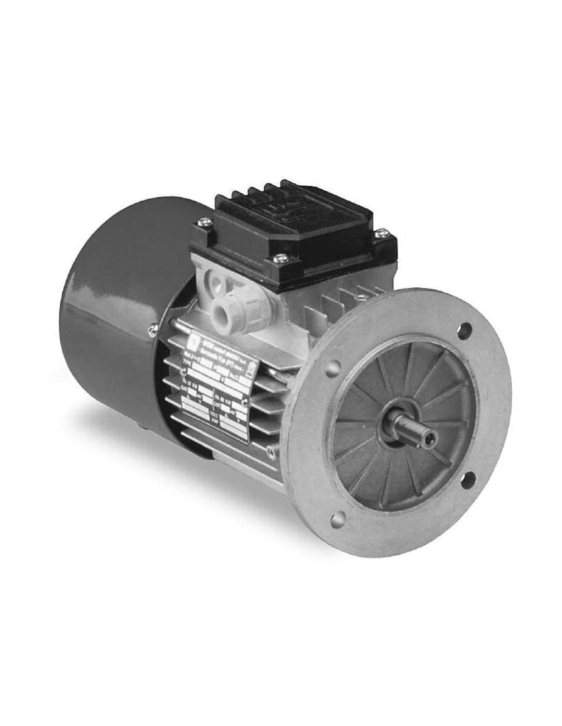 Three Phase Electric Motor 3000PRM B3/B5/B14 3 ph cast aluminium standard motor 
