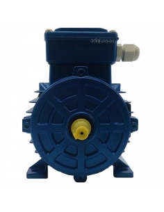 Motor trifásico 2,2Kw/3CV 230/400V 3000 rpm IE2 Brida B3 Patas 2