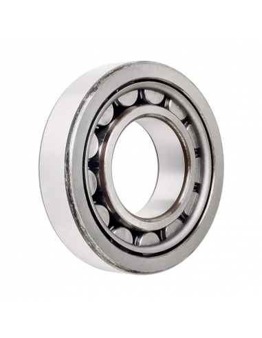 Cylindrical roller bearings NJ-204 20x47x14mm ISB - ADAJUSA