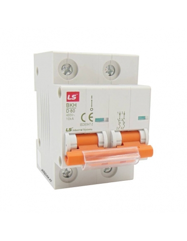 Magnetotérmico 2 polos 63A 10kA (2x63A) - LS