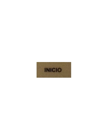 Etiqueta "INICIO"