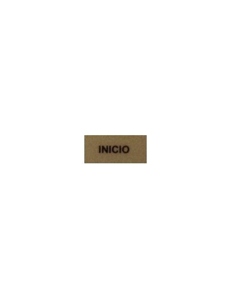 Etiqueta "INICIO"