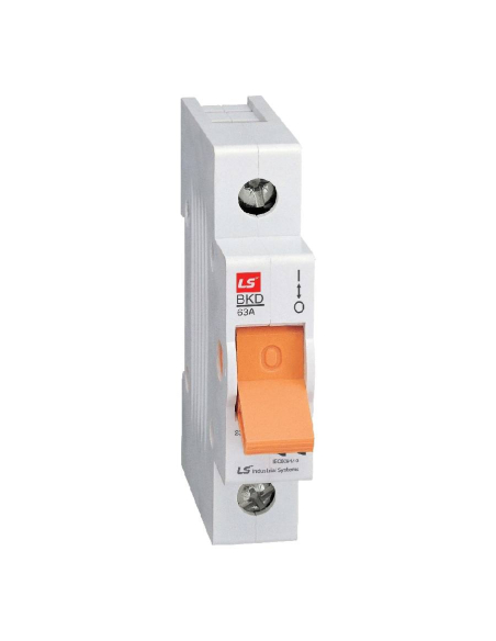 Disconnector 1 Polo 63A -  LS