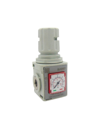 Regulador presión con manómetro y bloqueable 1/2 0-8 bar tamaño 2 serie FRL EVO  - Aignep