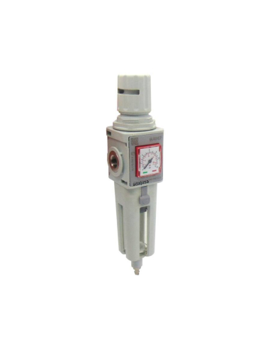 Filtro-regulador neumático 3/8 0-12 bar purga automática tamaño 2 serie FRL EVO - Aignep
