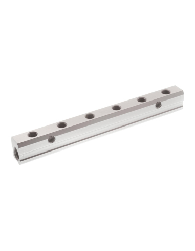 Distribuidor doble 2 entradas 1/4 - 10 salidas 1/8 en aluminio - Aignep|adajusa
