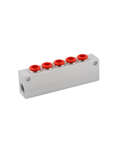 Distribuidor simple 2 entradas 1/8 - 5 salidas 6mm en aluminio Serie 50000 - Aignep | Adajusa