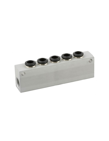 Distributor simple 2 inputs 1/4 - 5 outputs 6mm in aluminum 55000 series - Aignep