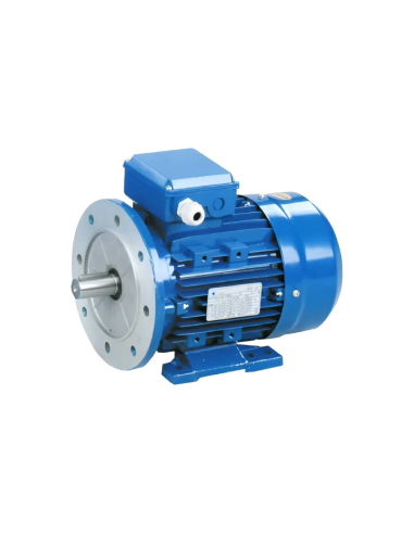 Three-phase motor 3kW/4HP 230/400V 3000 rpm B35 flange reduced casing