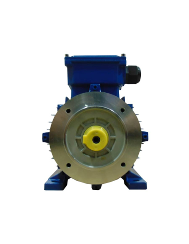 Motor trifásico 0,25kW/0,33CV 230/400V 1500 rpm  Brida B34|adajusa