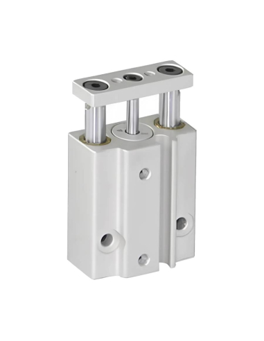 Compact pneumatic cylinder double guide 6x5mm double acting - Mindman