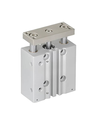 Compact pneumatic cylinder double guide 12x25mm double acting sliding bushing - Mindman