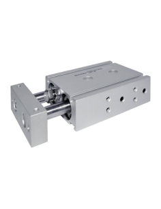 Compact pneumatic cylinder 6x20mm double acting parallel rods CG02 Series - Aignep | ADAJUSA | price