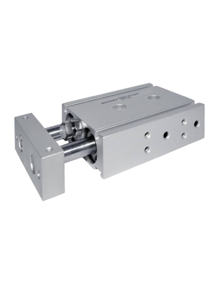 Compact pneumatic cylinder 20x90mm double acting parallel rods CG02 Series - Aignep | ADAJUSA | price