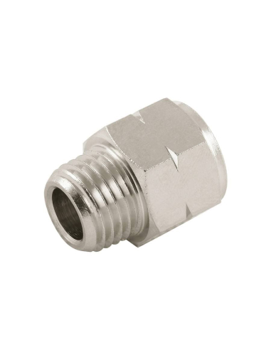 Adapter fitting 1/4 female cylindrical BSP - male conical NPTF - Aignep