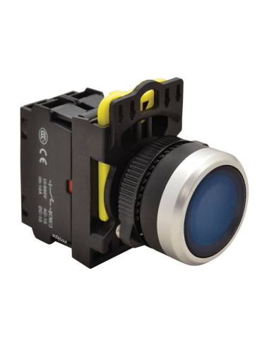 Blue illuminated pushbutton open contact (NO) - NY Series