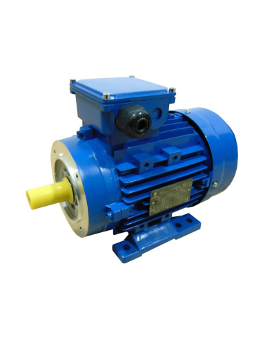 Single-phase electric motor 0,18Kw 0,25CV 230V Flange B34 3000 half starting torque | ADAJUSA | price