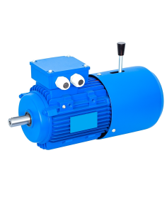 Motor trifásico 0,37Kw 0,5CV con freno 1500 rpm Brida B5|adajusa