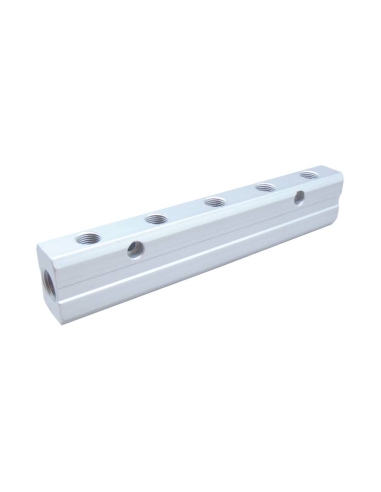 Distribuidor doble 2 entradas 1/4 - 10 salidas 1/8 en aluminio - Aignep-adajusa