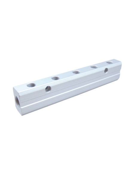 Distribuidor doble 2 entradas 1/4 - 10 salidas 1/8 en aluminio - Aignep-adajusa