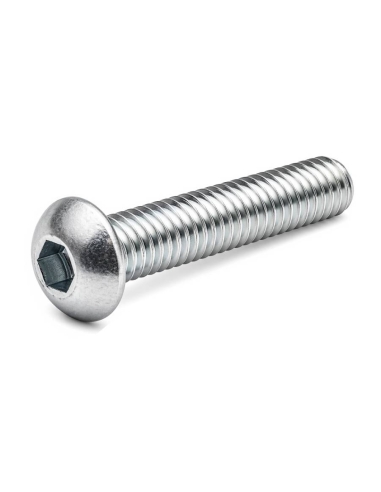 Screw allen head round M5x20mm zinc plated | ADAJUSA | price