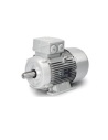 Motores eléctricos trifásicos 3000 rpm brida B3 IE3 Serie SIMOTICS GP - INNOMOTICS