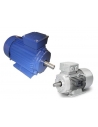 Three-phase electric motors 230/400V and 400/690V IE1, IE2 and IE3