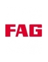 FAG Brand NJ Bearings