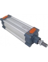 Pneumatic cylinders .80