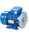 Motores monofásicos 1500 rpm brida B35 (Patas) alto par