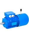 Motores freno trifásicos 1500 rpm brida B14
