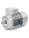Motores eléctricos trifásicos 1500 rpm Brida B14 - INNOMOTICS